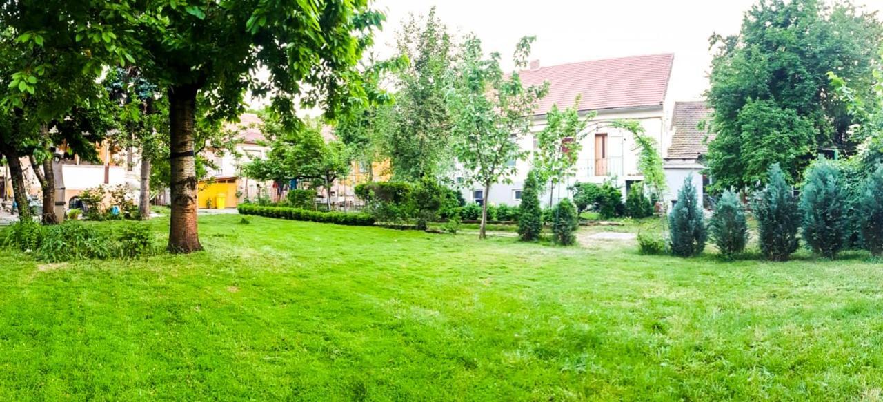 Writer S Street Residence Arad Exterior photo